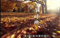 ����ٲ�������