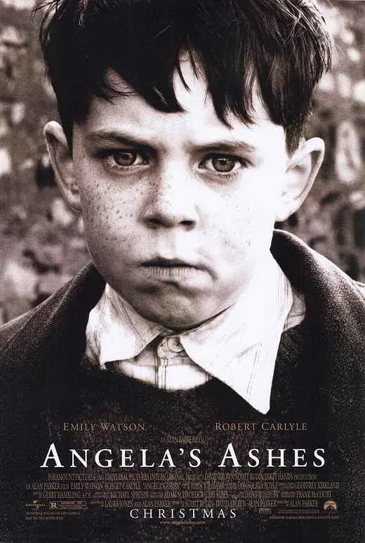 ��ʹ�ĺ��ӡ�Ӱ�ӽ�˵��